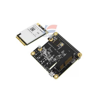 YJJ RAK5146 PiHAT Concentrator Module Cocok untuk LoRaWAN untuk pengumpulan data sensor