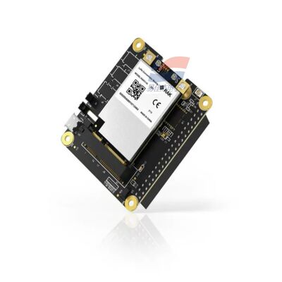 YJJ RAK5146 PiHAT Concentrator Module Cocok untuk LoRaWAN untuk pengumpulan data sensor