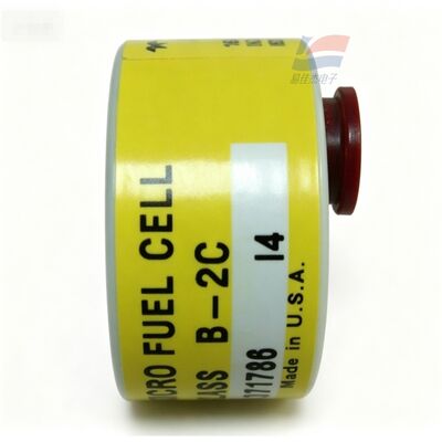 YJJ C06689-B2C Kelas B-2C 0-10ppm Trace Oxygen Sensor untuk Produksi Elektronik Semikonduktor